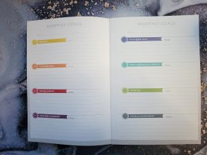 mid-year goal review
